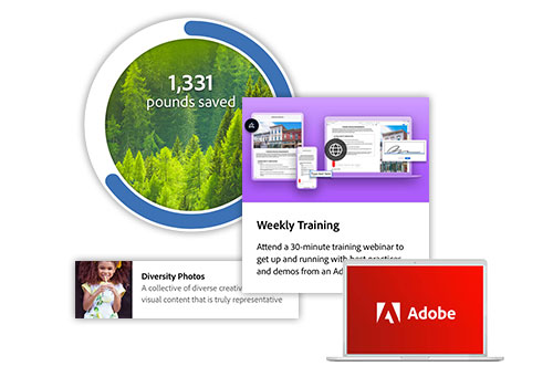 What's available on the Adobe Resource Hub